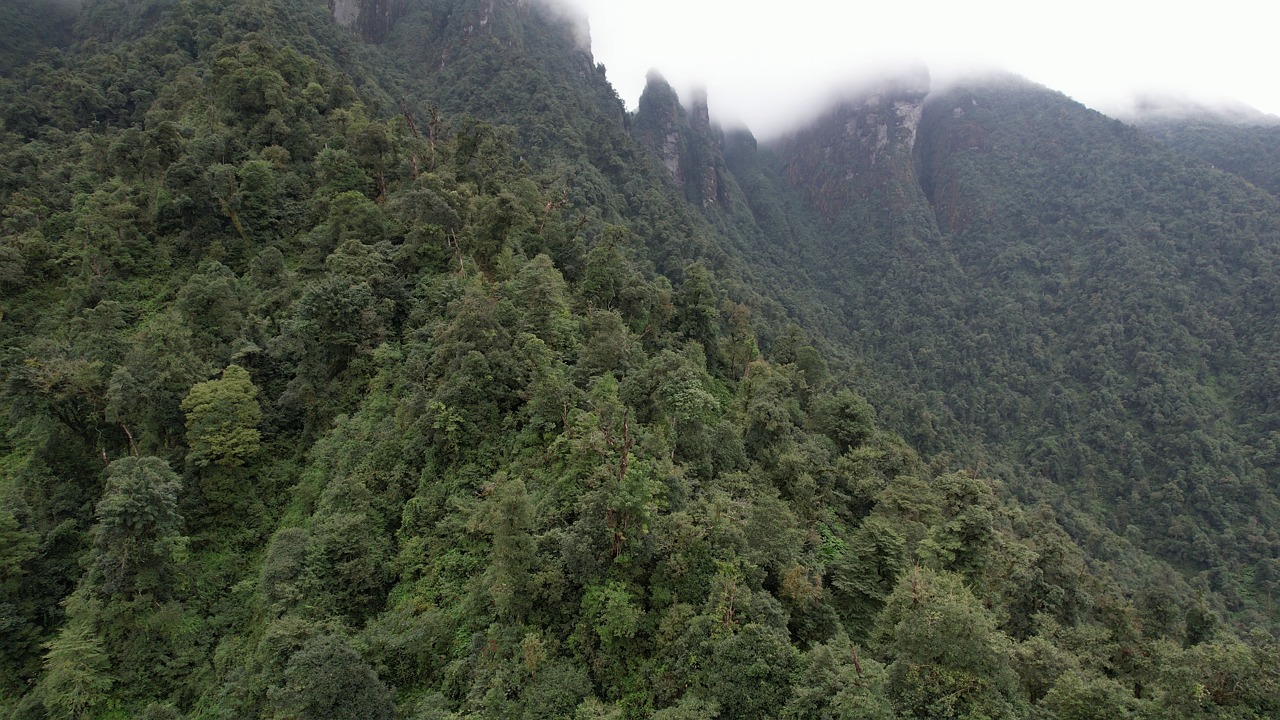 sapa, mountain, cloud, hill, travel, sky, rice, vietnam, terrance, hmong, wind