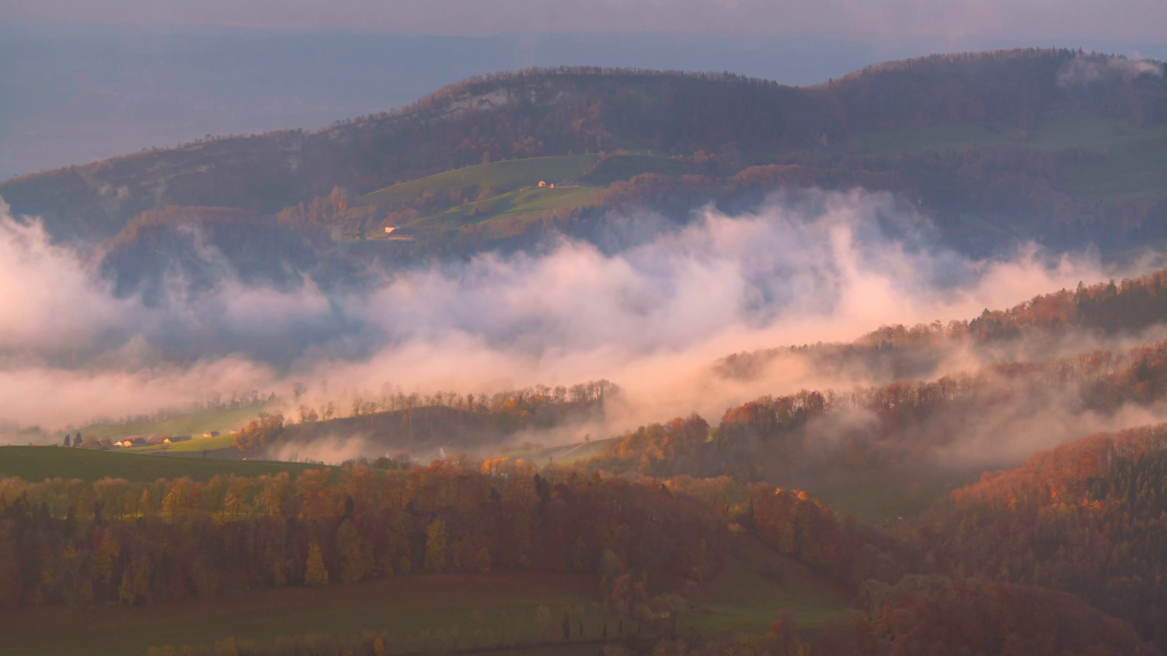 fog — free pixabay stock footage