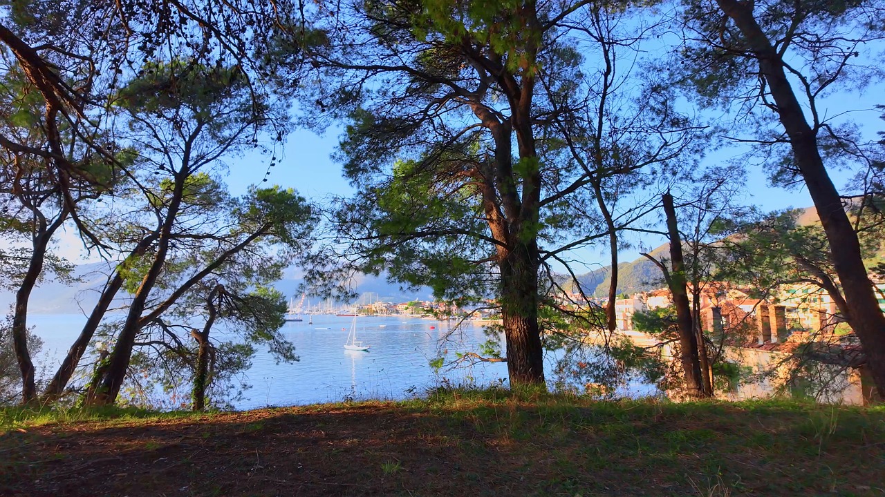 tivat, park, trees, frame, montenegro, sea, coast, nature, view, beautiful, holyday, landscape, peacful