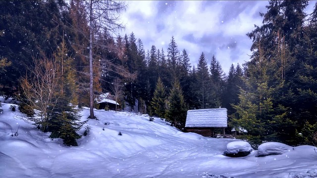 nature, winter, cozy, snowfall, cabin, background, snow, landscape, cold, forest, trees, woods, fog, overcast, sky, countryside, house, building, smoke