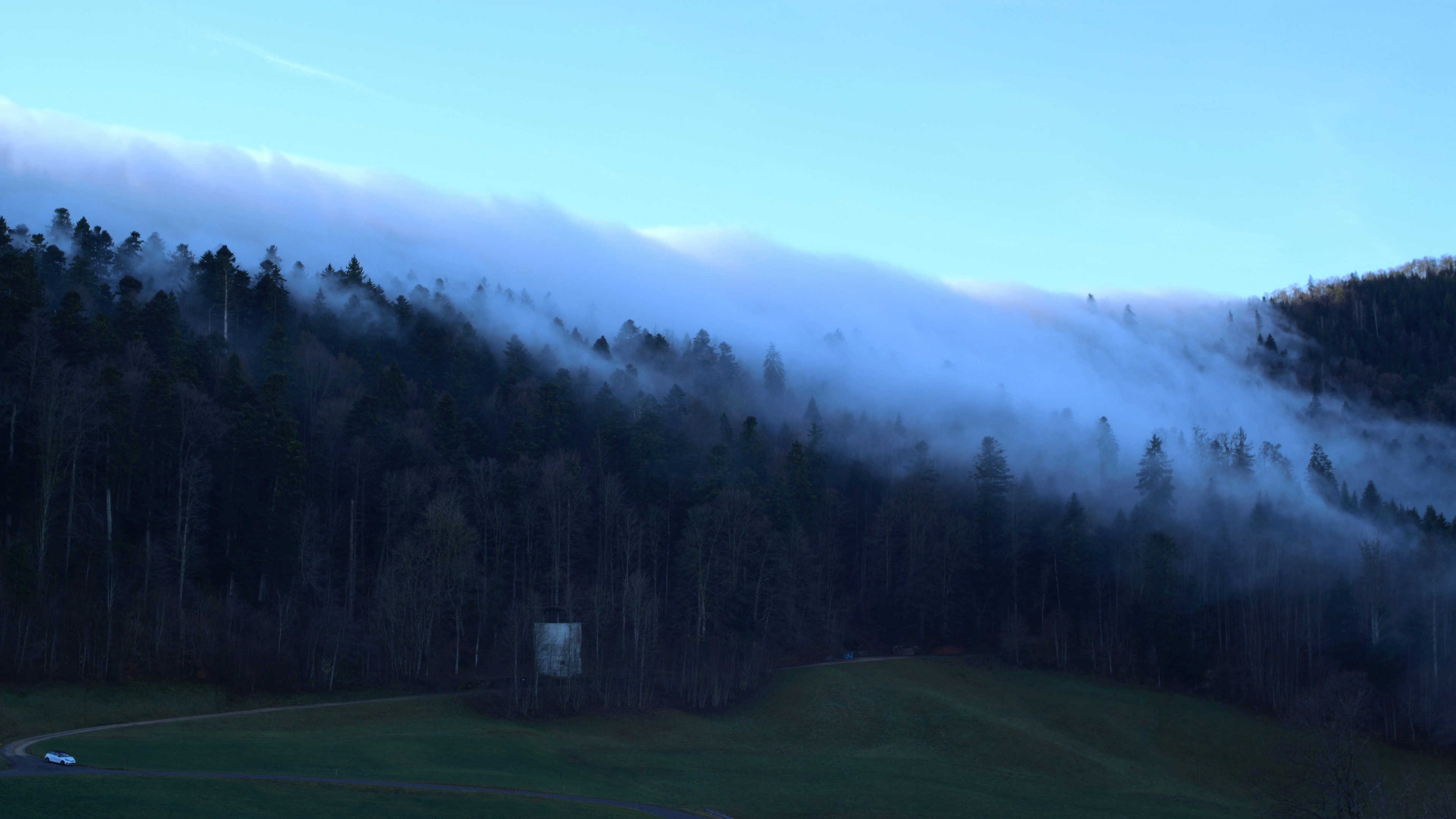 fog — free pixabay stock footage