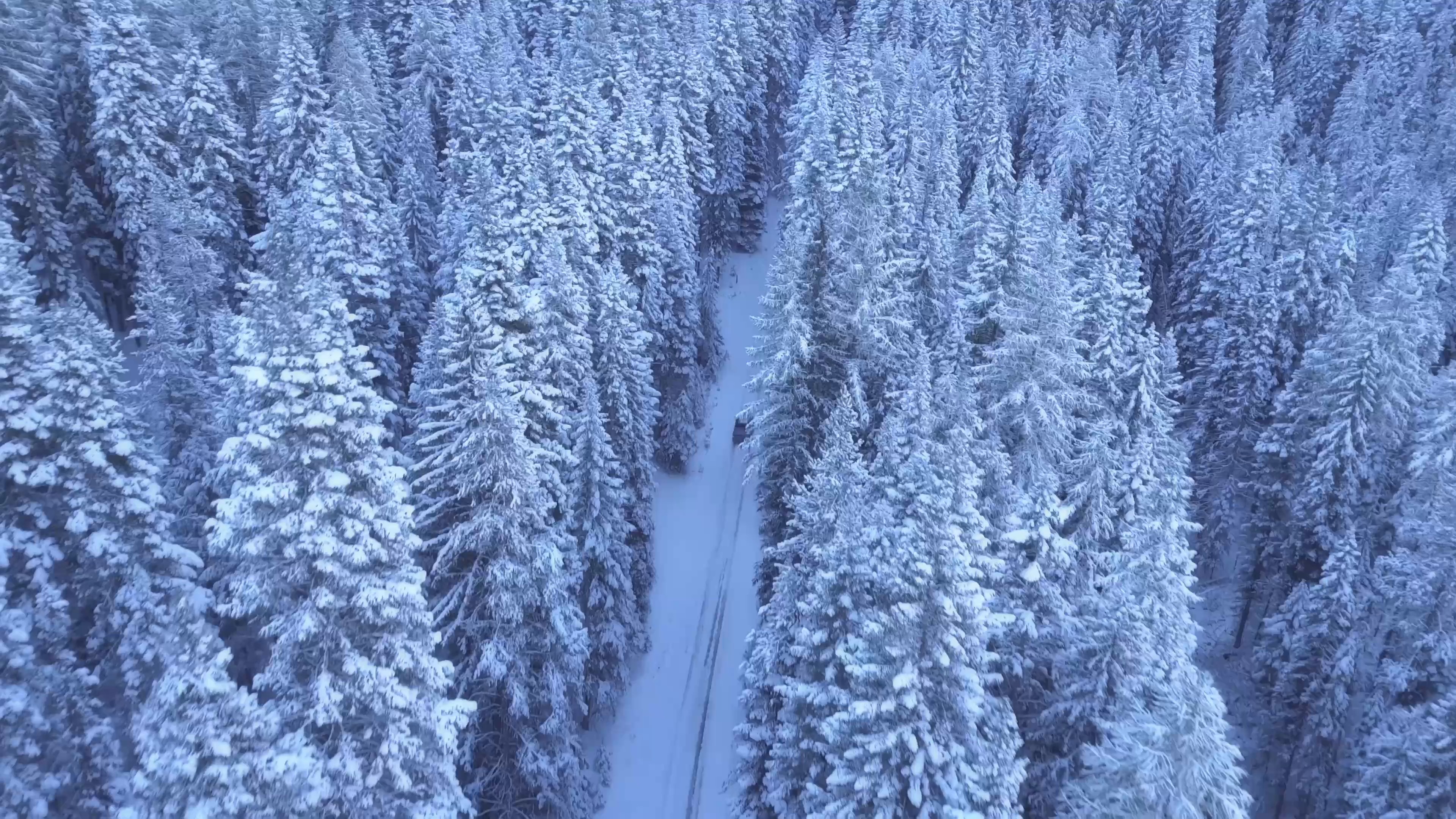 winter