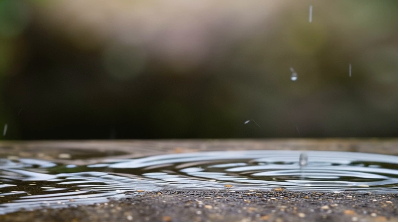 Puddle Ripple Map Puddle, Water Ripple, Reverse Motion. Free Stock Video - Pixabay