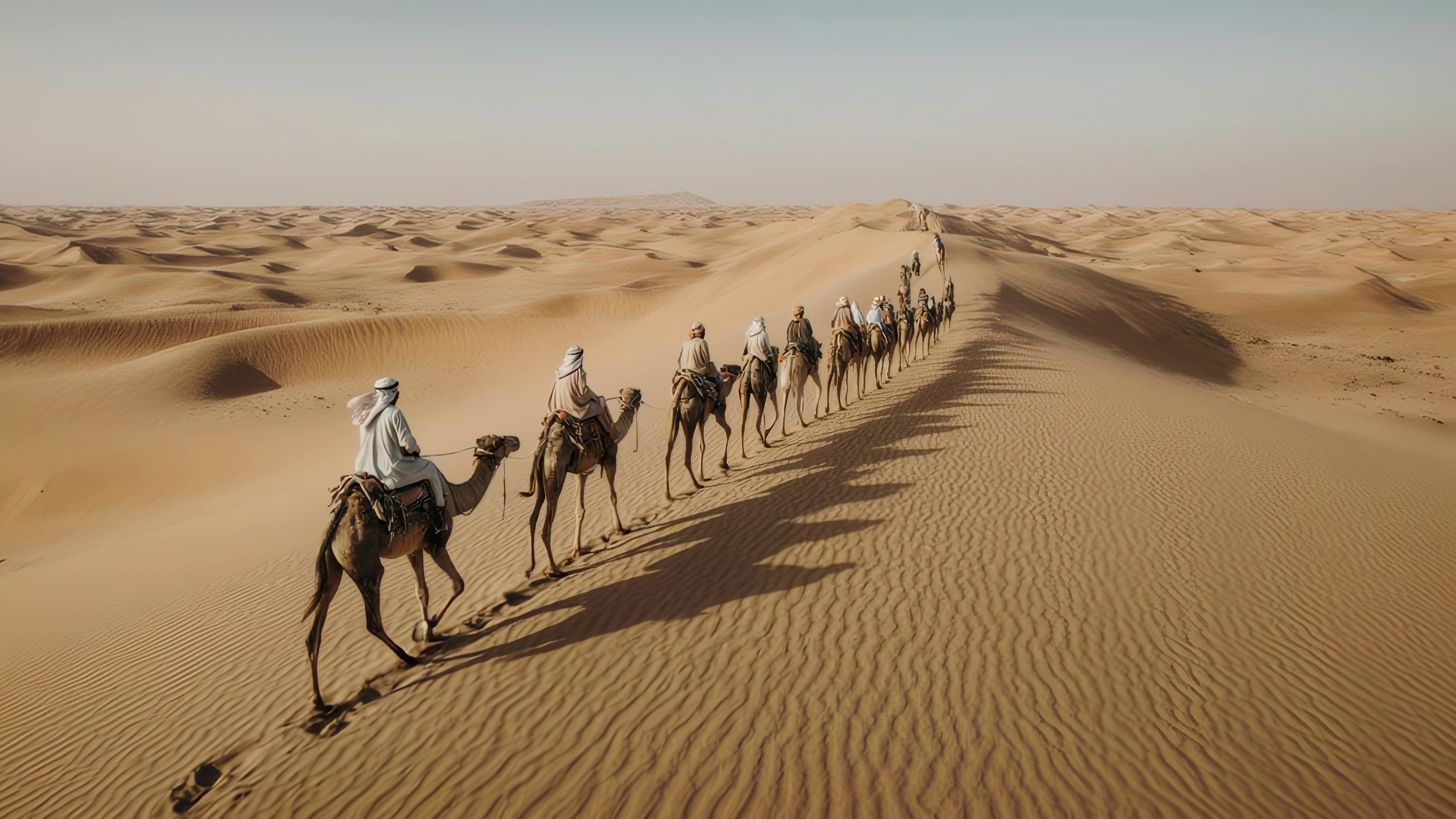 Caravan Desert Camels Sand