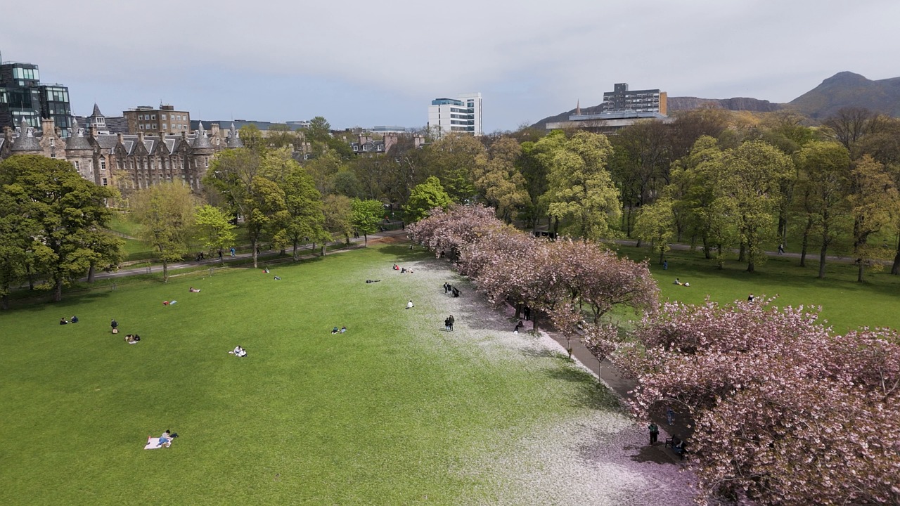 edinburgh, uk, summer, park, drone, meadows, scotland, spring, cherry blossom, cherry blossom season, trees, city, campus, building, university, afternoon stroll, pathways, 4k aerial footage, 4k drone, panning shot, wide view, landscape, distance view, green space, grass