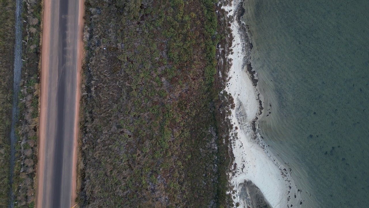 road, shoreline, aerial view, drone video, outdoors, landscape, water, tree, shore