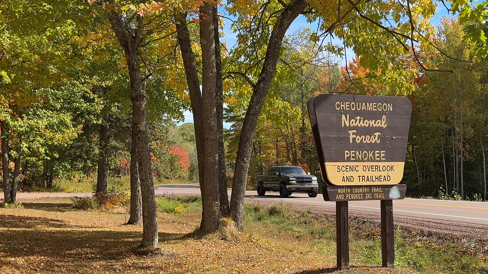 Aat Sw Forêt Nationale De Tombe Automne - Free video on Pixabay